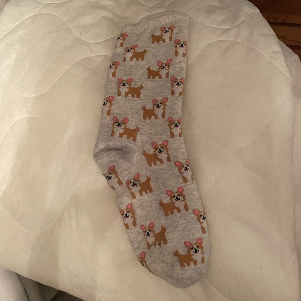 ISO ISO ISO ISO Old Navy Corgi socks (circa 2017)